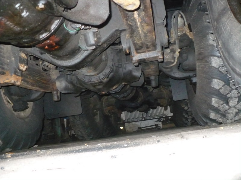 T813_7.JPG